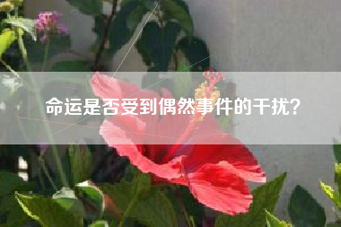 命运是否受到偶然事件的干扰？  第1张