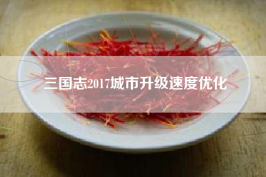 三国志2017城市升级速度优化  第1张