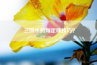 三国杀的判定牌技巧？  第1张