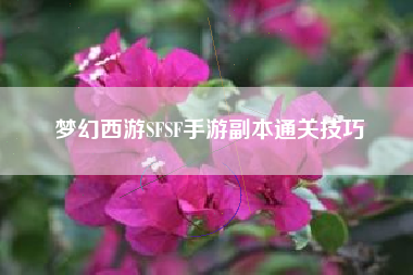 梦幻西游SFSF手游副本通关技巧  第1张
