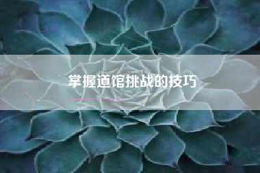 掌握道馆挑战的技巧  第1张