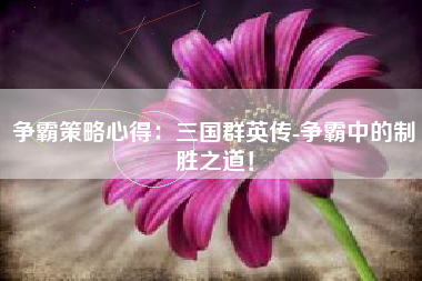争霸策略心得：三国群英传-争霸中的制胜之道！  第1张