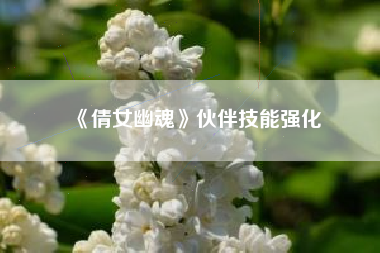 《倩女幽魂》伙伴技能强化  第1张