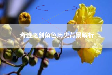 奇迹之剑角色历史背景解析  第1张