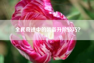 全民奇迹中的装备升阶技巧？  第1张