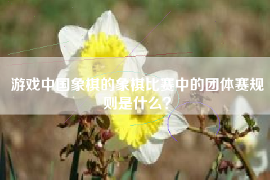 游戏中国象棋的象棋比赛中的团体赛规则是什么？  第1张