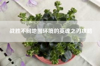 战胜不同地图环境的英魂之刃攻略  第1张