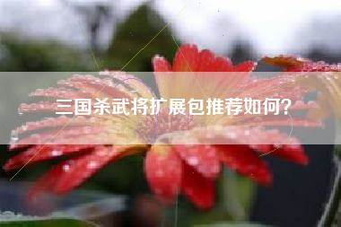 三国杀武将扩展包推荐如何？  第1张