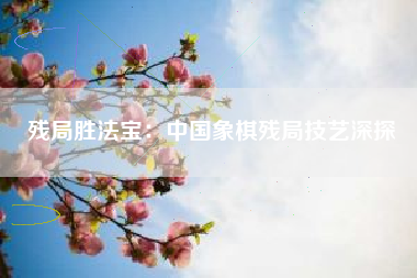 残局胜法宝：中国象棋残局技艺深探  第1张