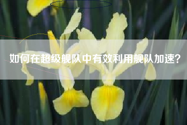 如何在超级舰队中有效利用舰队加速？  第1张