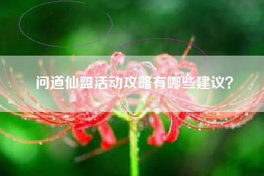 问道仙盟活动攻略有哪些建议？  第1张