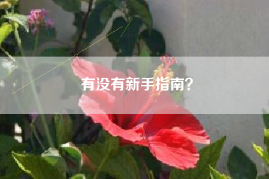 有没有新手指南？  第1张