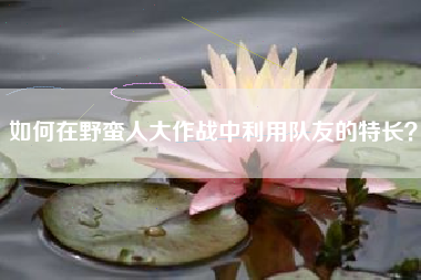 如何在野蛮人大作战中利用队友的特长？  第1张