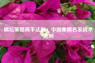 棋坛策略高手法则：中国象棋名家战术法则  第1张