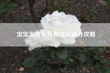 宝宝当店长每周挑战高分攻略  第1张