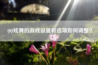 QQ炫舞的游戏设置和选项如何调整？  第1张