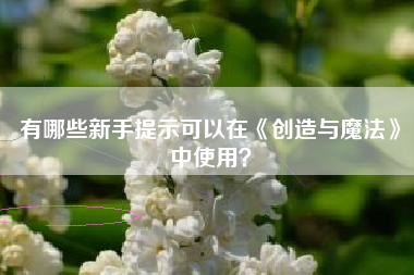 有哪些新手提示可以在《创造与魔法》中使用？  第1张