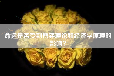 命运是否受到博弈理论和经济学原理的影响？  第1张