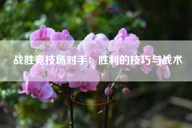 战胜竞技场对手：胜利的技巧与战术  第1张