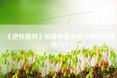 《逆转裁判》的律师是否有不同的法律技巧？  第1张