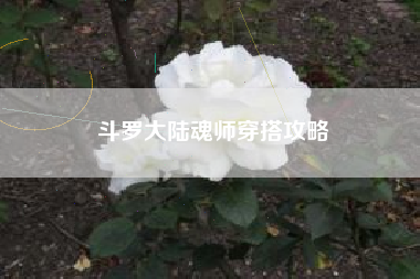 斗罗大陆魂师穿搭攻略  第1张