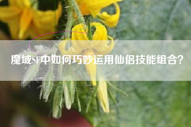 魔域SF中如何巧妙运用仙侣技能组合？  第1张