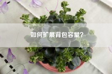 如何扩展背包容量？  第1张