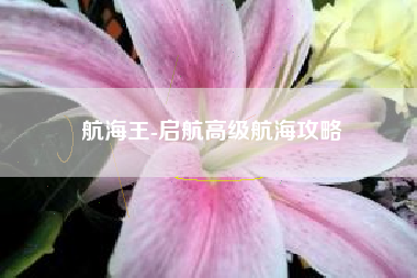 航海王-启航高级航海攻略  第1张
