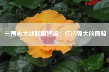 三国志大战联盟建设：打造强大的同盟  第1张