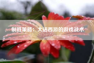 制胜策略：大话西游的游戏战术  第1张