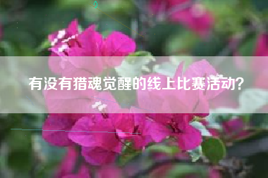 有没有猎魂觉醒的线上比赛活动？  第1张