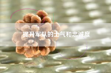 提升军队的士气和忠诚度  第1张