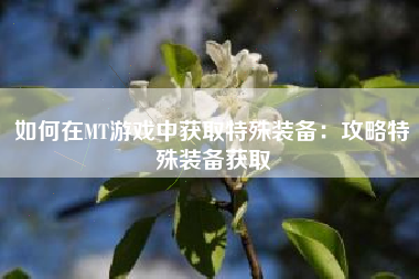 如何在MT游戏中获取特殊装备：攻略特殊装备获取  第1张