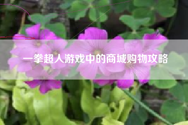 一拳超人游戏中的商城购物攻略  第1张
