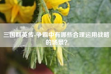 三国群英传-争霸中有哪些合理运用战略的场景？  第1张