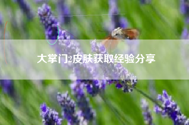 大掌门2皮肤获取经验分享  第1张