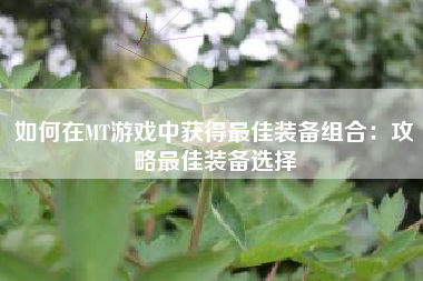 如何在MT游戏中获得最佳装备组合：攻略最佳装备选择  第1张