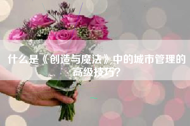 什么是《创造与魔法》中的城市管理的高级技巧？  第1张