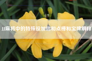JJ麻将中的特殊役加倍和点棒和宝牌解释  第1张
