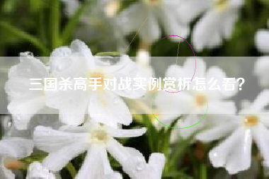 三国杀高手对战实例赏析怎么看？  第1张