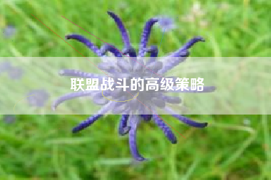 联盟战斗的高级策略  第1张