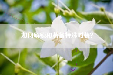 如何解锁和装备特殊时装？  第1张
