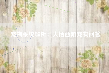 宠物系统解析：大话西游宠物问答  第1张