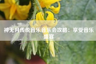 神无月传统音乐音乐会攻略：享受音乐盛宴  第1张