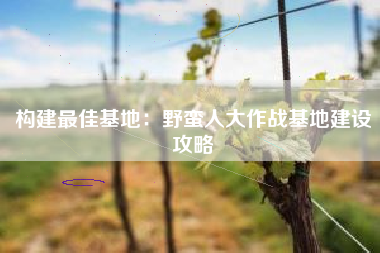 构建最佳基地：野蛮人大作战基地建设攻略  第1张