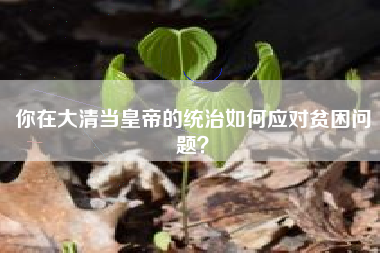 你在大清当皇帝的统治如何应对贫困问题？  第1张
