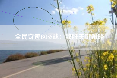 全民奇迹BOSS战：致胜关键策略  第1张