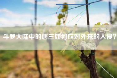 斗罗大陆中的唐三如何应对外来的入侵？  第1张