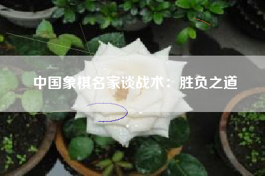 中国象棋名家谈战术：胜负之道  第1张