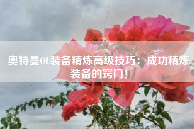 奥特曼OL装备精炼高级技巧：成功精炼装备的窍门！  第1张